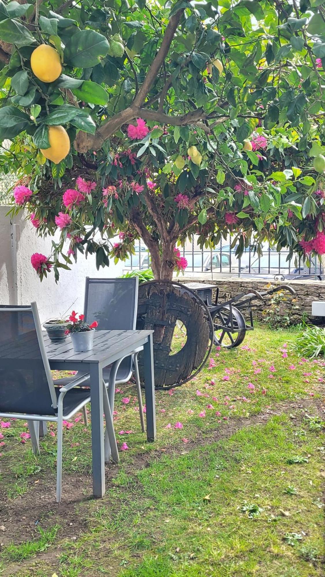 Besbello Suites Apartamento Santiago de Compostela Eksteriør bilde