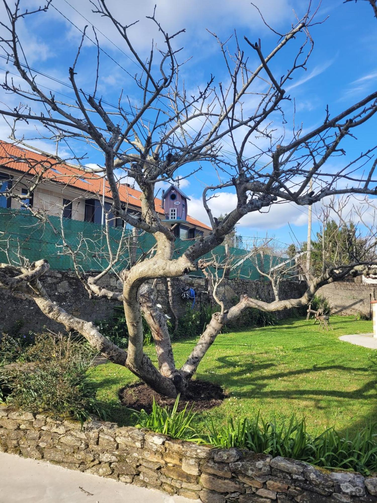 Besbello Suites Apartamento Santiago de Compostela Eksteriør bilde