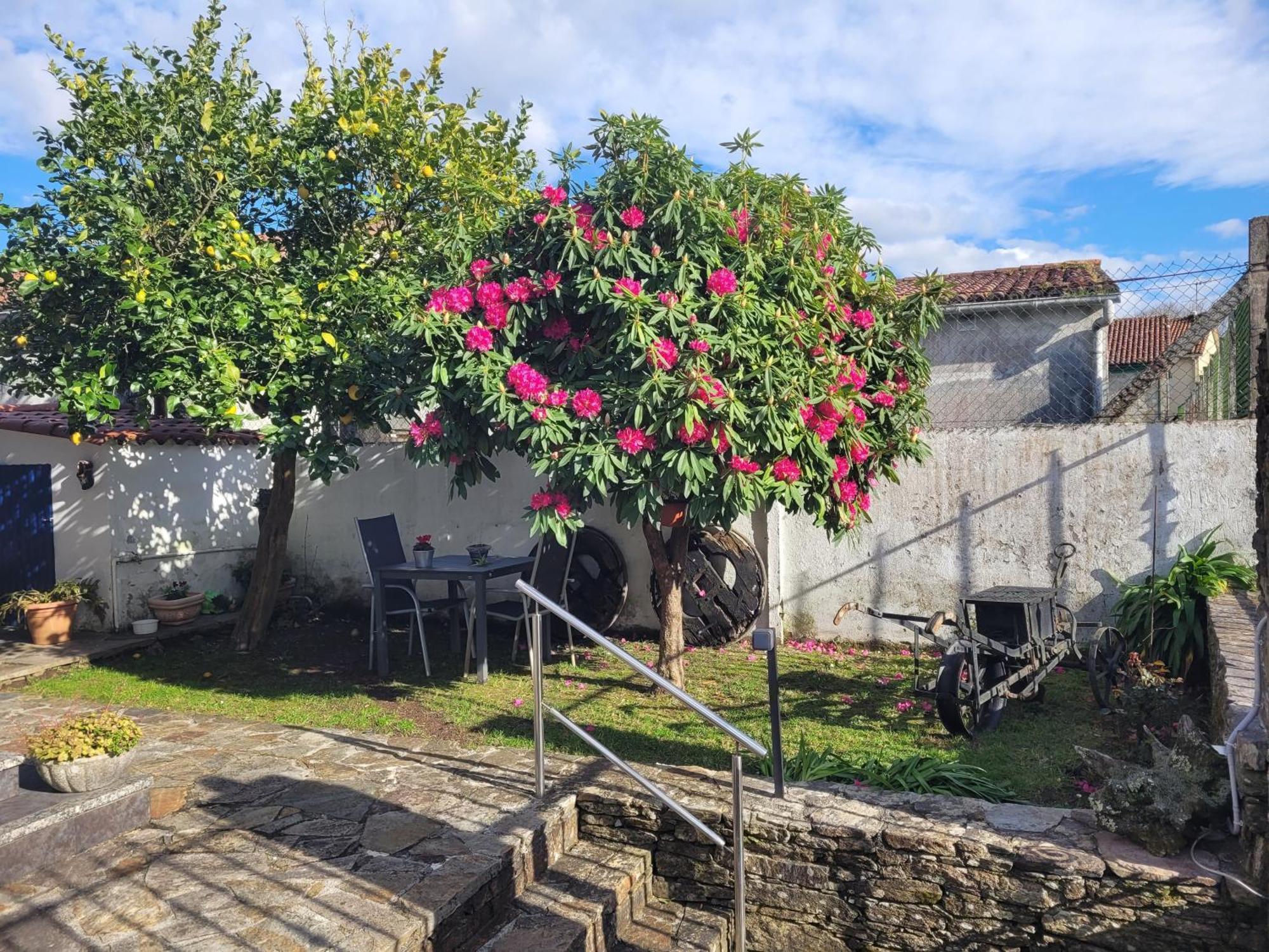 Besbello Suites Apartamento Santiago de Compostela Eksteriør bilde